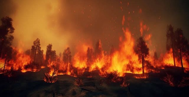 Menjaga Hutan Kalimantan dalam Perspektif Islam